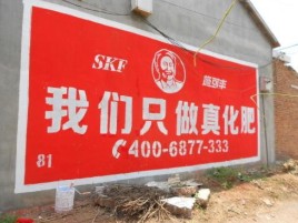 洋县刷墙广告”蕴含了时代命题