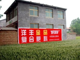 洋县如何让墙体广告展现最大化效果