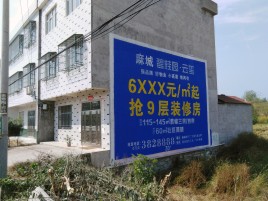 洋县墙体广告质量分析