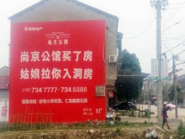 洋县墙体广告在乡镇、农村市场的媒体优势