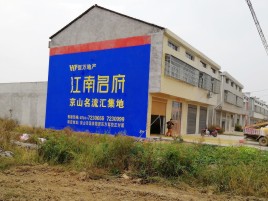 洋县农村墙体广告在不同形式上面展现的不同特色