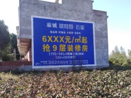 洋县墙体广告的好处