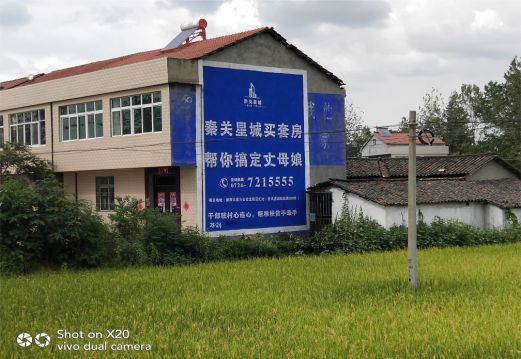 洋县决定墙体广告价格的因素有哪些？