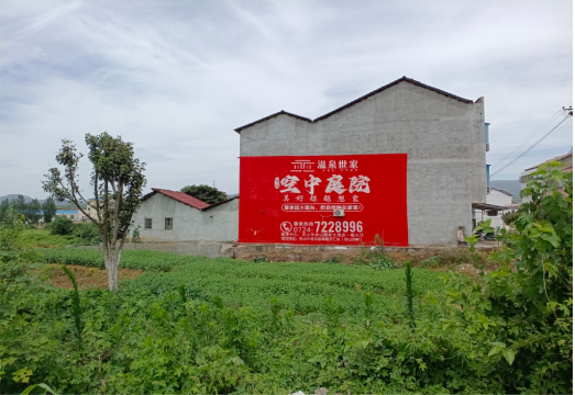 洋县做墙体广告的意义