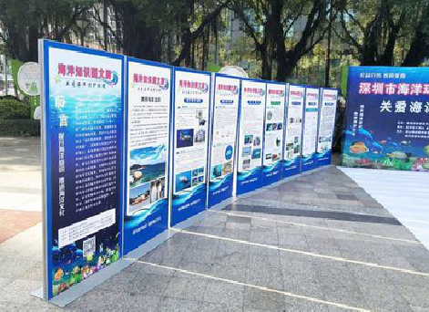 洋县KT板的种类和知识。